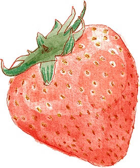 Иллюстрация к книге — Как выносить и родить здорового малыша. Понедельное руководство по беременности и родам прямо из уст акушерки [i_001.jpg]