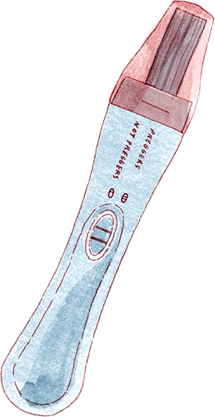 Иллюстрация к книге — Как выносить и родить здорового малыша. Понедельное руководство по беременности и родам прямо из уст акушерки [i_002.jpg]