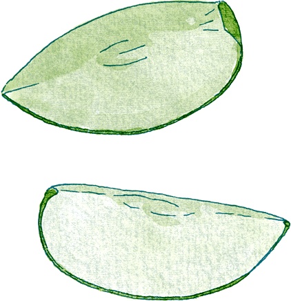 Иллюстрация к книге — Как выносить и родить здорового малыша. Понедельное руководство по беременности и родам прямо из уст акушерки [i_003.jpg]