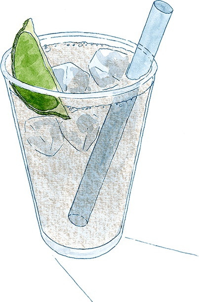 Иллюстрация к книге — Как выносить и родить здорового малыша. Понедельное руководство по беременности и родам прямо из уст акушерки [i_007.jpg]