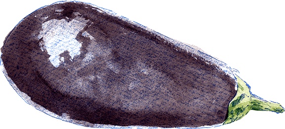 Иллюстрация к книге — Как выносить и родить здорового малыша. Понедельное руководство по беременности и родам прямо из уст акушерки [i_018.jpg]