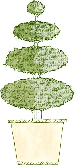 Иллюстрация к книге — Как выносить и родить здорового малыша. Понедельное руководство по беременности и родам прямо из уст акушерки [i_027.jpg]