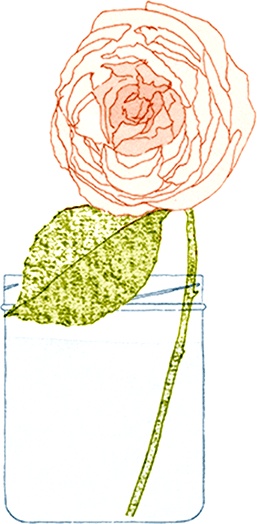 Иллюстрация к книге — Как выносить и родить здорового малыша. Понедельное руководство по беременности и родам прямо из уст акушерки [i_029.jpg]