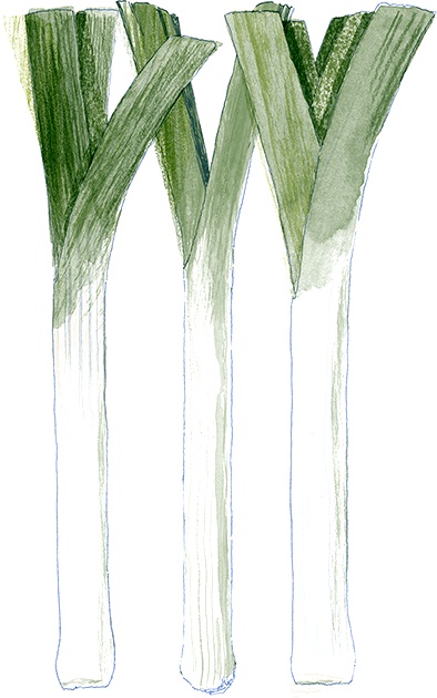 Иллюстрация к книге — Как выносить и родить здорового малыша. Понедельное руководство по беременности и родам прямо из уст акушерки [i_032.jpg]