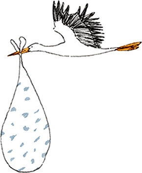 Иллюстрация к книге — Как выносить и родить здорового малыша. Понедельное руководство по беременности и родам прямо из уст акушерки [i_034.jpg]