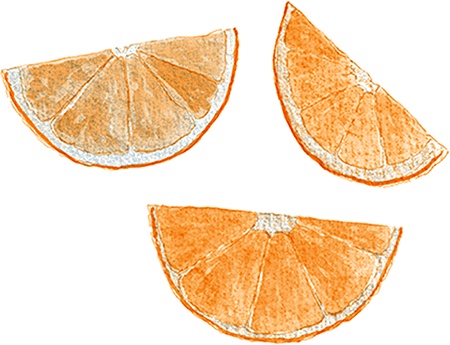 Иллюстрация к книге — Как выносить и родить здорового малыша. Понедельное руководство по беременности и родам прямо из уст акушерки [i_036.jpg]