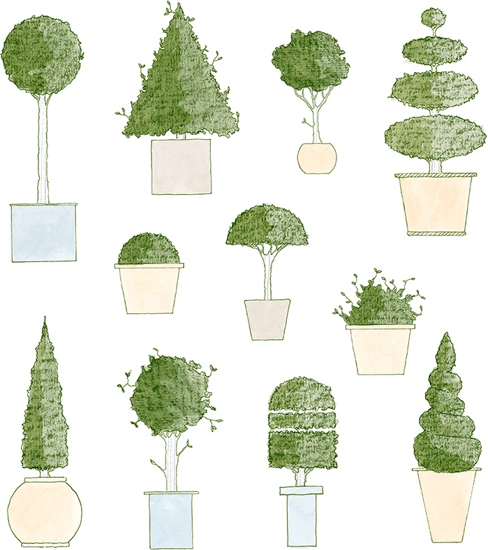 Иллюстрация к книге — Как выносить и родить здорового малыша. Понедельное руководство по беременности и родам прямо из уст акушерки [i_037.jpg]