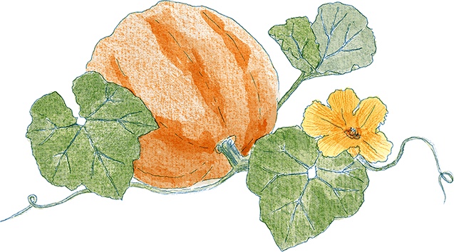 Иллюстрация к книге — Как выносить и родить здорового малыша. Понедельное руководство по беременности и родам прямо из уст акушерки [i_038.jpg]