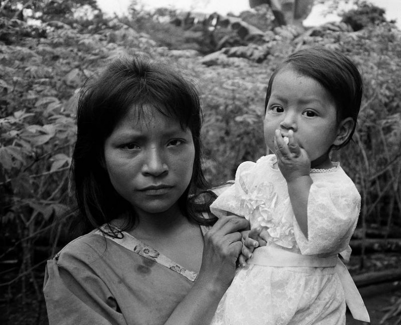 Иллюстрация к книге — Как мыслят леса. К антропологии по ту сторону человека [i_001.jpg]