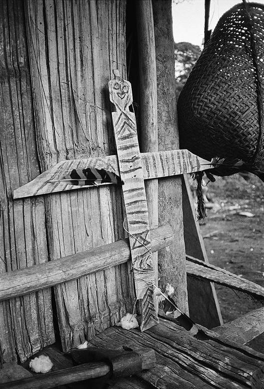 Иллюстрация к книге — Как мыслят леса. К антропологии по ту сторону человека [i_008.jpg]