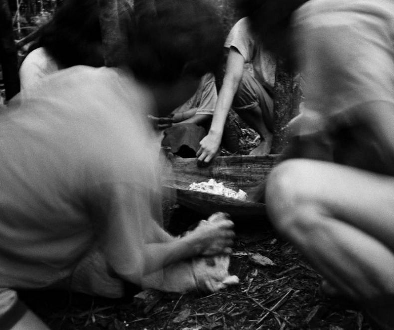 Иллюстрация к книге — Как мыслят леса. К антропологии по ту сторону человека [i_011.jpg]