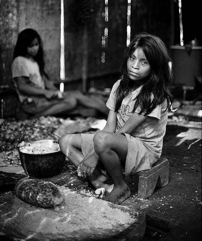 Иллюстрация к книге — Как мыслят леса. К антропологии по ту сторону человека [i_015.jpg]