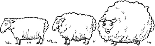 Иллюстрация к книге — Говори как английская королева. The Queen's English and how to use it [i_010.jpg]