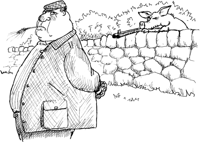 Иллюстрация к книге — Говори как английская королева. The Queen's English and how to use it [i_013.jpg]