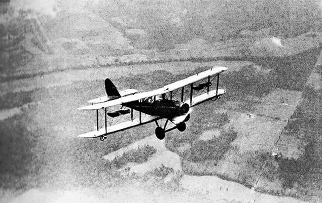 Иллюстрация к книге — Инсектопедия [i_002.jpg]