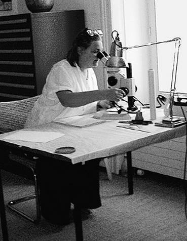 Иллюстрация к книге — Инсектопедия [i_004.jpg]