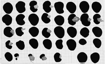 Иллюстрация к книге — Инсектопедия [i_005.jpg]