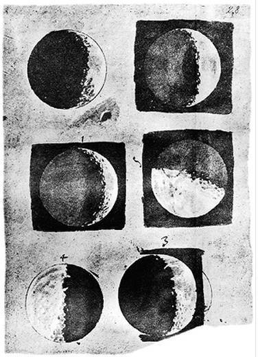 Иллюстрация к книге — Инсектопедия [i_006.jpg]