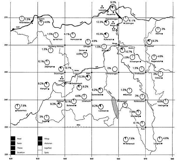 Иллюстрация к книге — Инсектопедия [i_012.jpg]