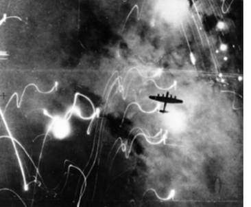 Иллюстрация к книге — Инсектопедия [i_015.jpg]