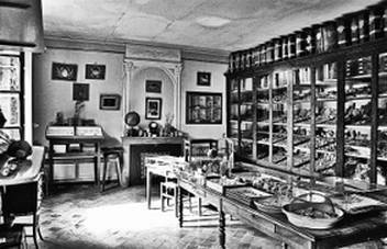 Иллюстрация к книге — Инсектопедия [i_017.jpg]