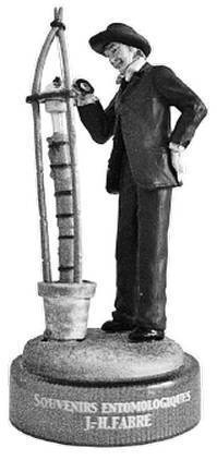 Иллюстрация к книге — Инсектопедия [i_023.jpg]