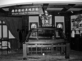 Иллюстрация к книге — Инсектопедия [i_037.jpg]