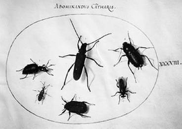 Иллюстрация к книге — Инсектопедия [i_041.jpg]