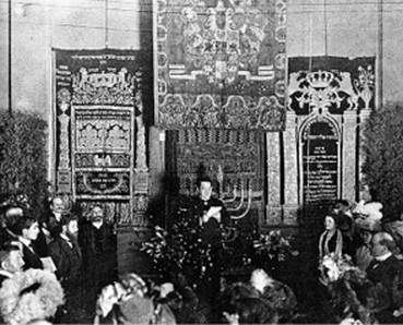 Иллюстрация к книге — Инсектопедия [i_048.jpg]