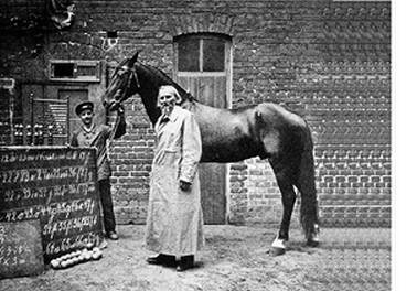 Иллюстрация к книге — Инсектопедия [i_052.jpg]