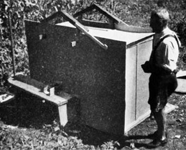 Иллюстрация к книге — Инсектопедия [i_059.jpg]