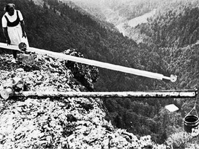 Иллюстрация к книге — Инсектопедия [i_063.jpg]