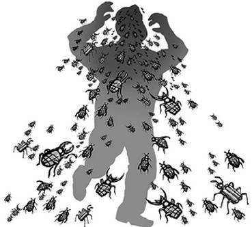 Иллюстрация к книге — Инсектопедия [i_068.jpg]