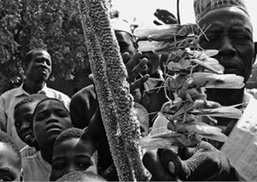 Иллюстрация к книге — Инсектопедия [i_071.jpg]