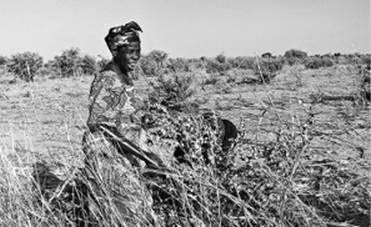 Иллюстрация к книге — Инсектопедия [i_072.jpg]