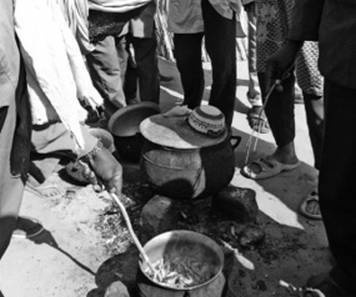 Иллюстрация к книге — Инсектопедия [i_074.jpg]