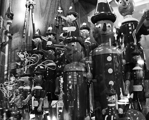 Иллюстрация к книге — Инсектопедия [i_078.jpg]