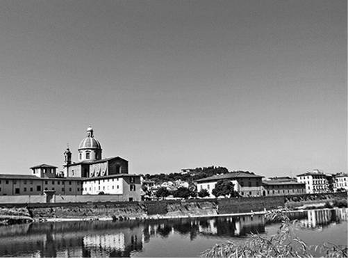 Иллюстрация к книге — Инсектопедия [i_080.jpg]