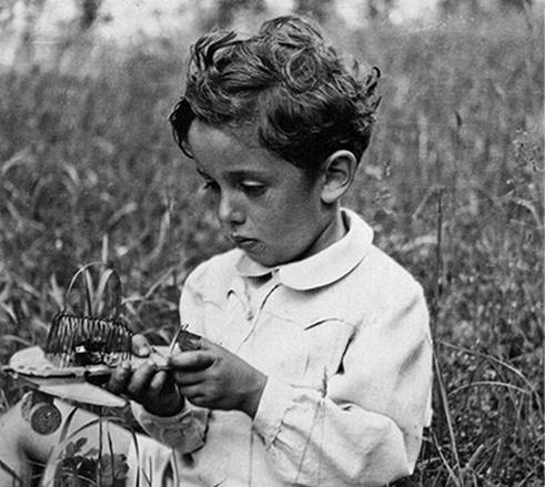 Иллюстрация к книге — Инсектопедия [i_081.jpg]