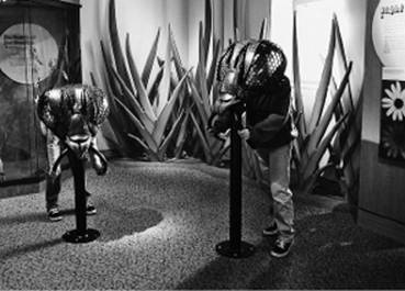 Иллюстрация к книге — Инсектопедия [i_096.jpg]