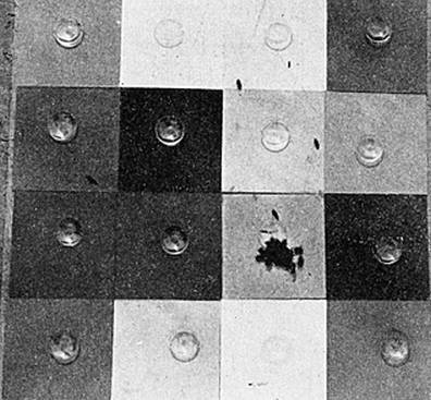 Иллюстрация к книге — Инсектопедия [i_097.jpg]