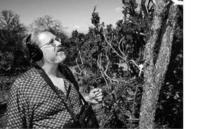 Иллюстрация к книге — Инсектопедия [i_104.jpg]