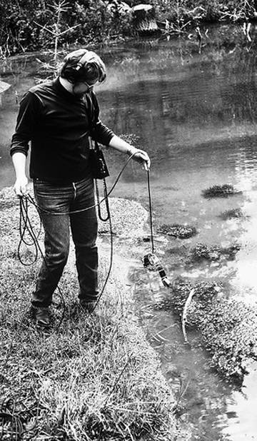 Иллюстрация к книге — Инсектопедия [i_105.jpg]