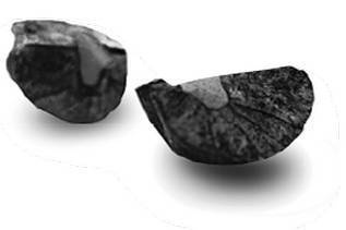 Иллюстрация к книге — Инсектопедия [i_108.jpg]