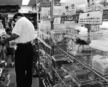 Иллюстрация к книге — Инсектопедия [i_120.jpg]