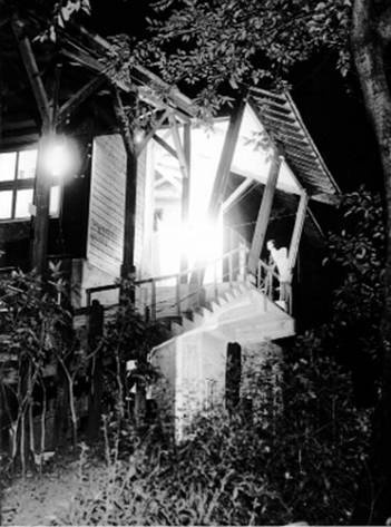 Иллюстрация к книге — Инсектопедия [i_123.jpg]