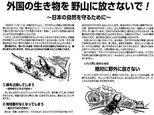 Иллюстрация к книге — Инсектопедия [i_126.jpg]