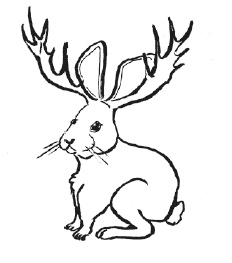 Иллюстрация к книге — Суд над драконом [i_008.jpg]