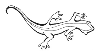 Иллюстрация к книге — Суд над драконом [i_014.jpg]