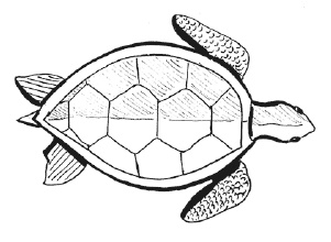 Иллюстрация к книге — Суд над драконом [i_015.jpg]